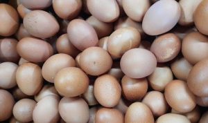 Harga Sembko di Jawa Timur Turun, Ini Harganya