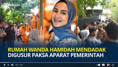 rumah wanda hamidah