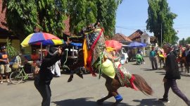 Salah satu kuda beraksi dalam Festival Jaran Serek  Sumenep (lensamadura.com/istimewa)