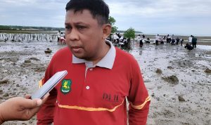 DLH Sumenep Lakukan Penanaman Ratusan Mangrove di Kalianget Timur