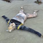 Warga Sumenep Temukan Mayat Pria Tanpa Identitas Mengapung di Pinggir Pantai