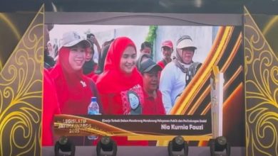 Nia Kurnia Fauzi