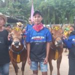 Sapi Karapan Kereta Malam