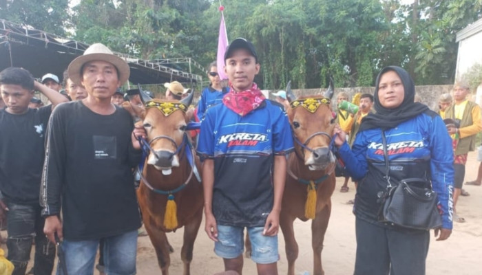Sapi Karapan Kereta Malam