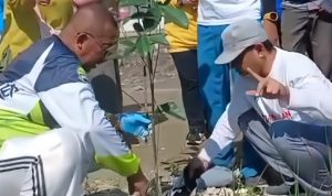 quality_restoration_20260416191407462